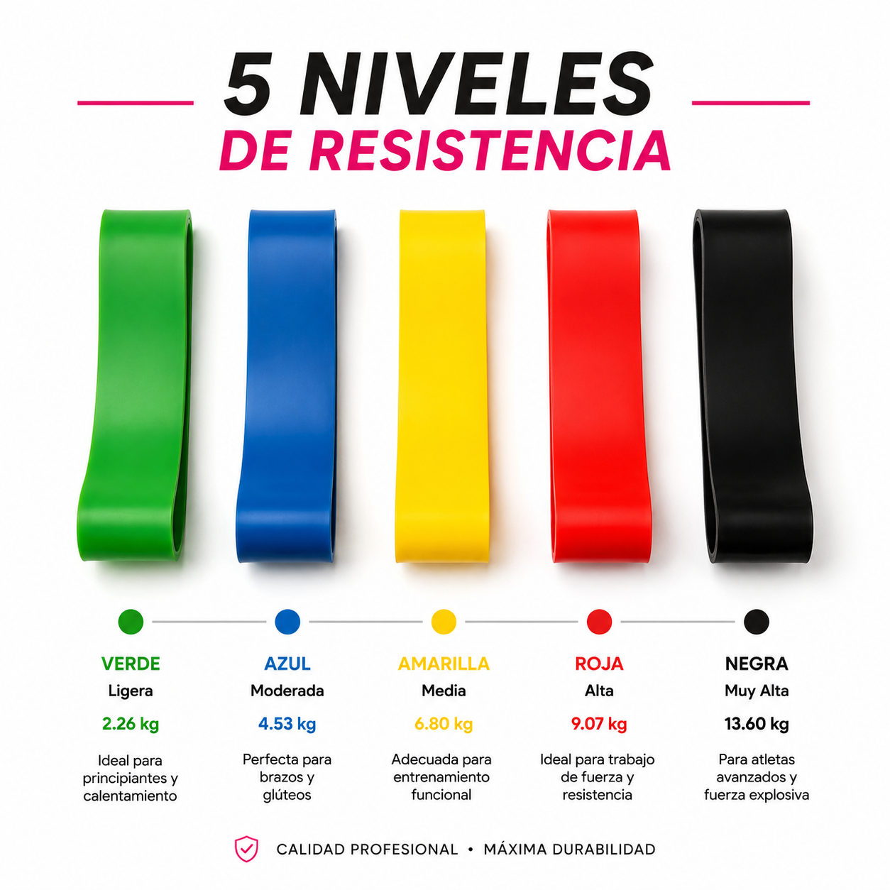 SET 5 BANDAS ELÁSTICAS