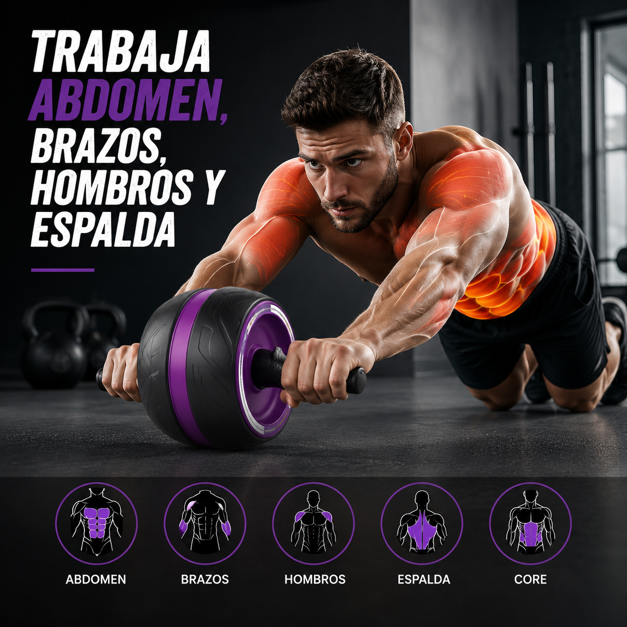 Rueda Sport Ejercicios Abdominales